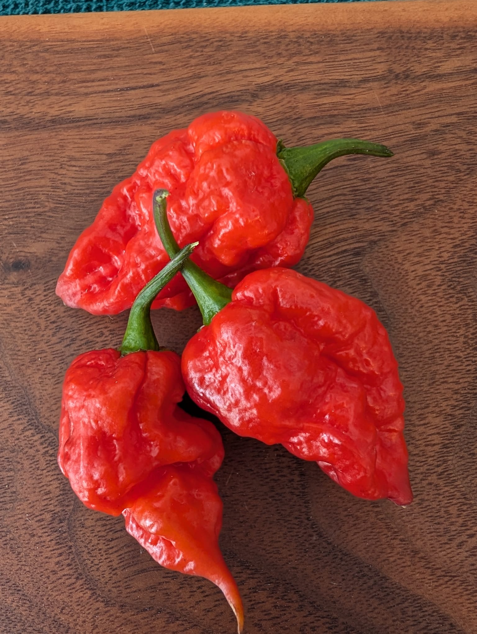 Mixed chilli varieties